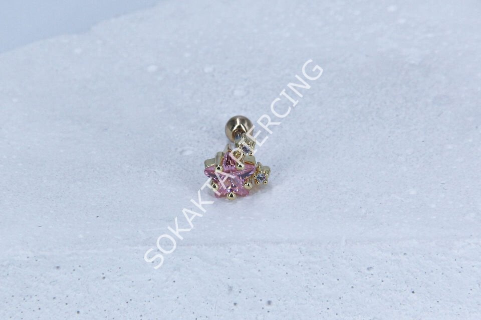 C16 - TRAGUS