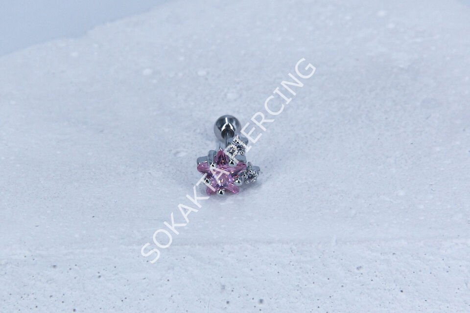 C16 - TRAGUS