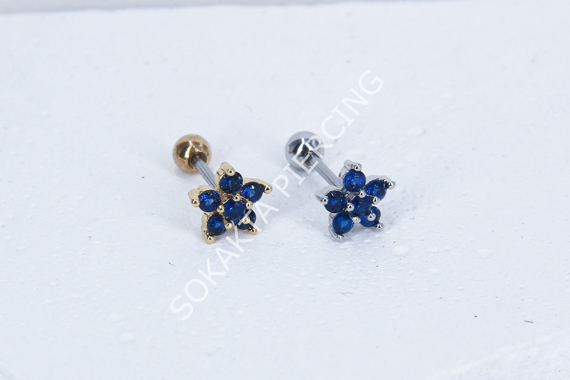 B41 - TRAGUS