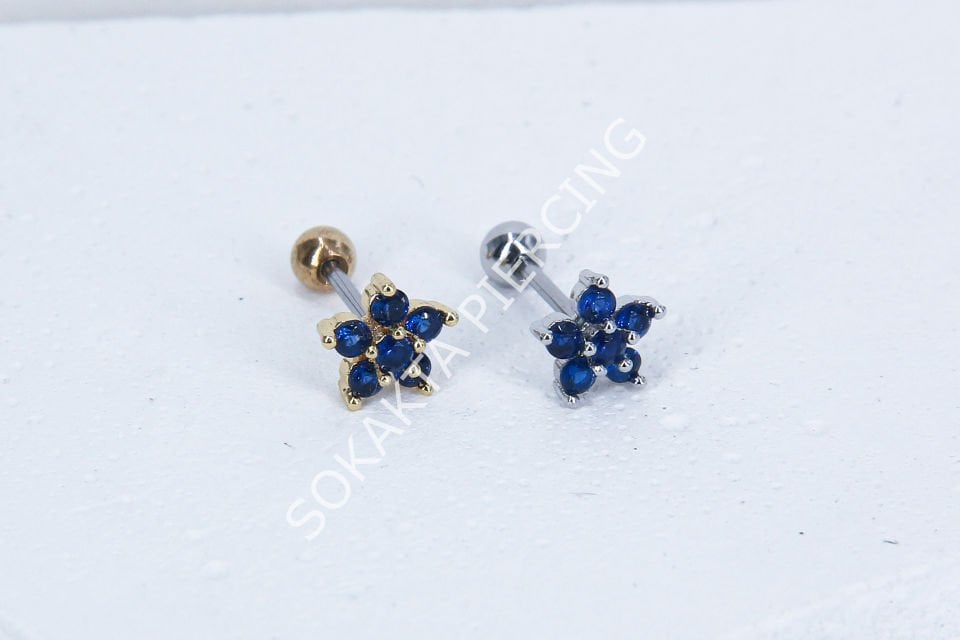 B41 - TRAGUS