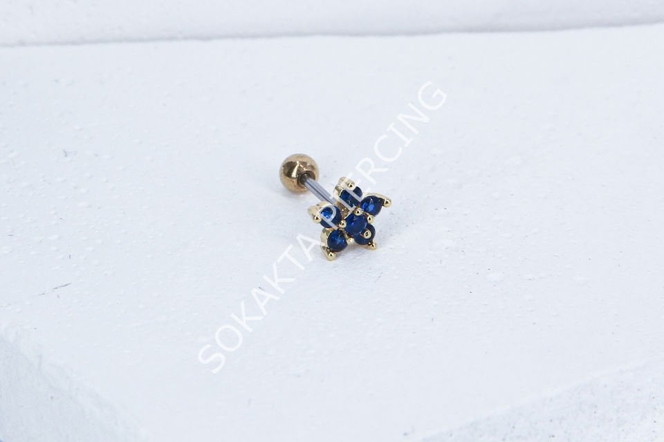 B41 - TRAGUS