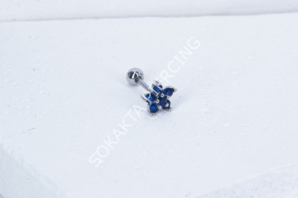 B41 - TRAGUS