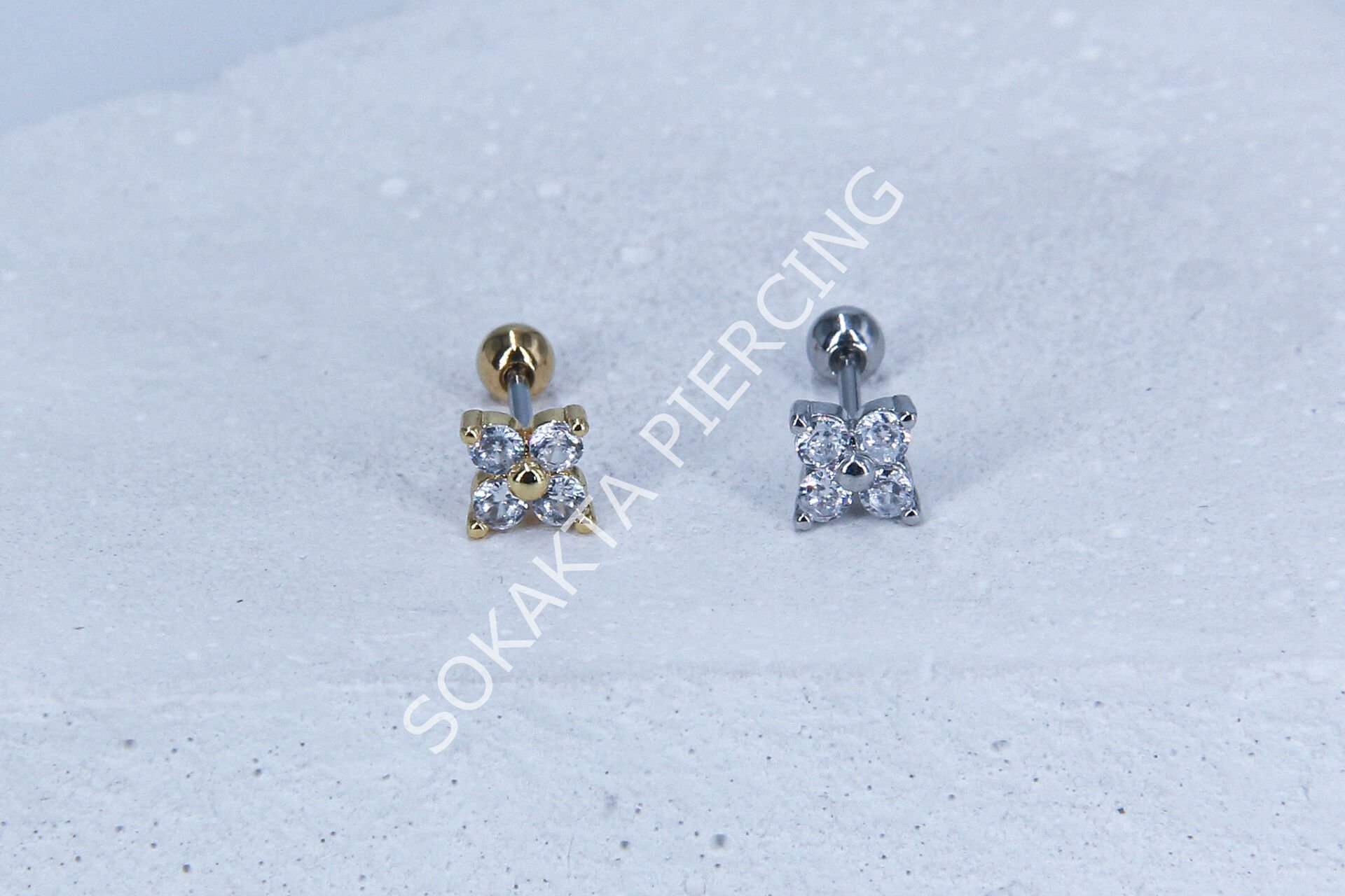 B8 - TRAGUS