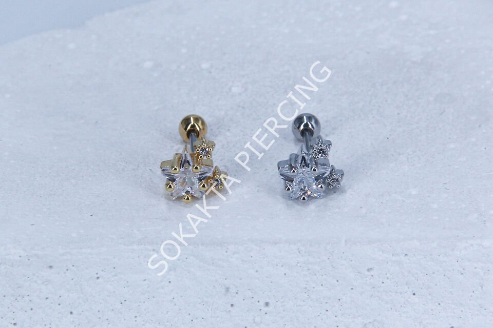 B24 - TRAGUS Silver