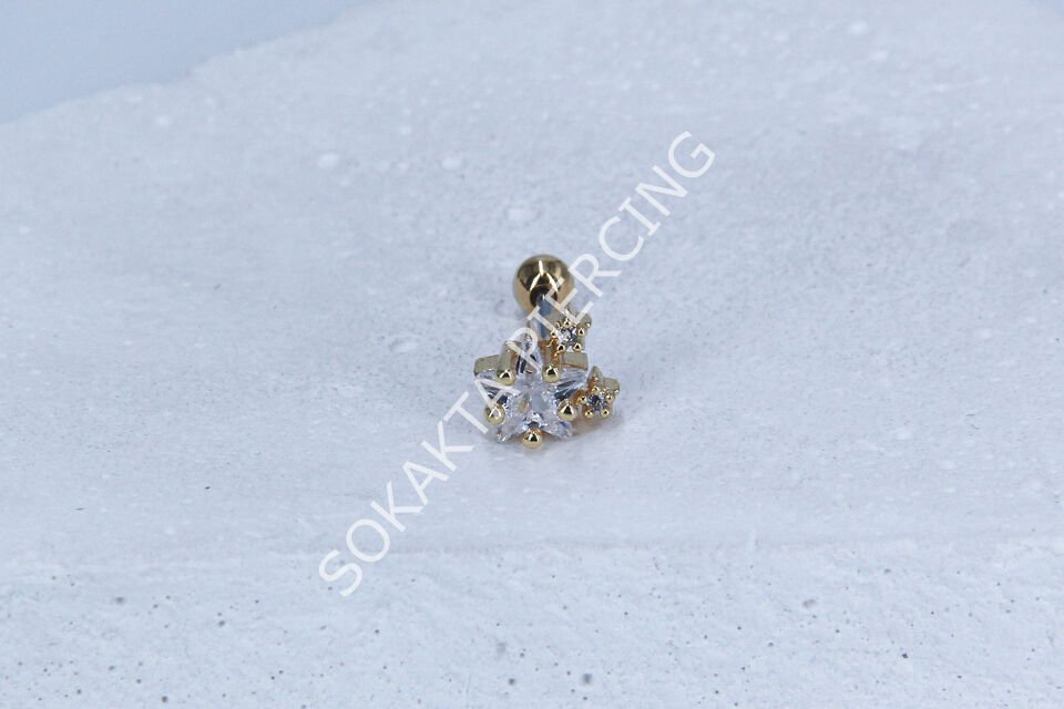 B24 - TRAGUS Silver