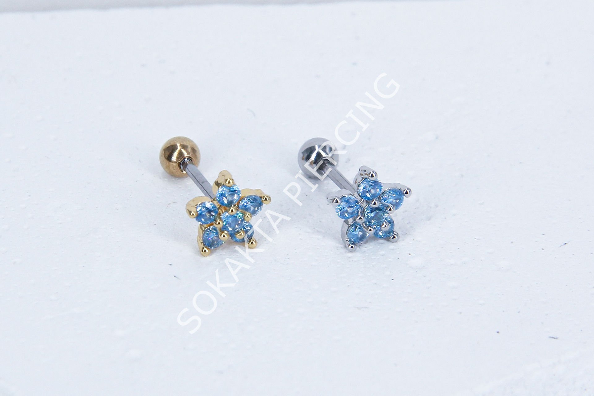 B40 - TRAGUS