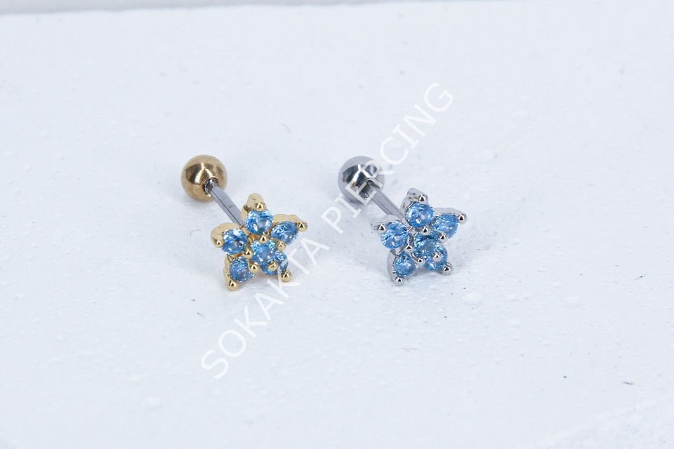 B40 - TRAGUS