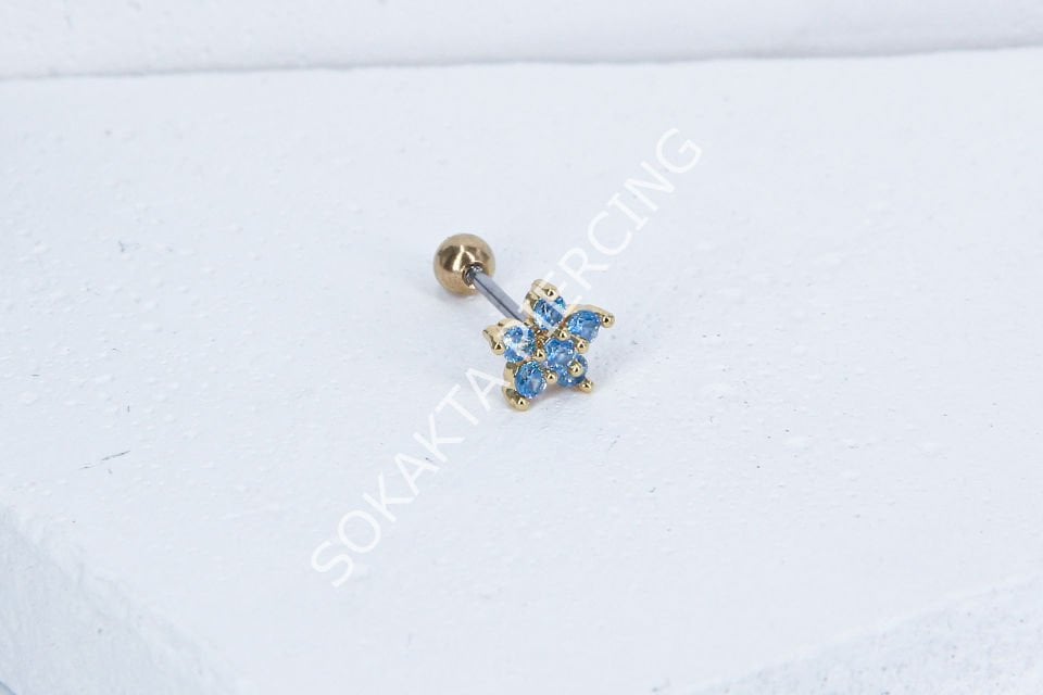 B40 - TRAGUS