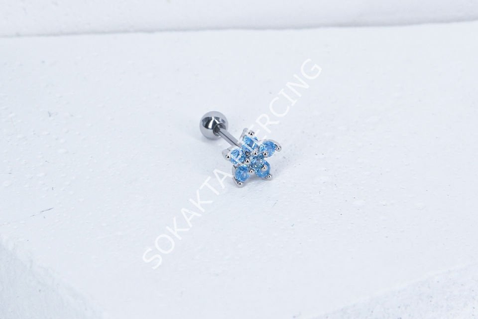 B40 - TRAGUS
