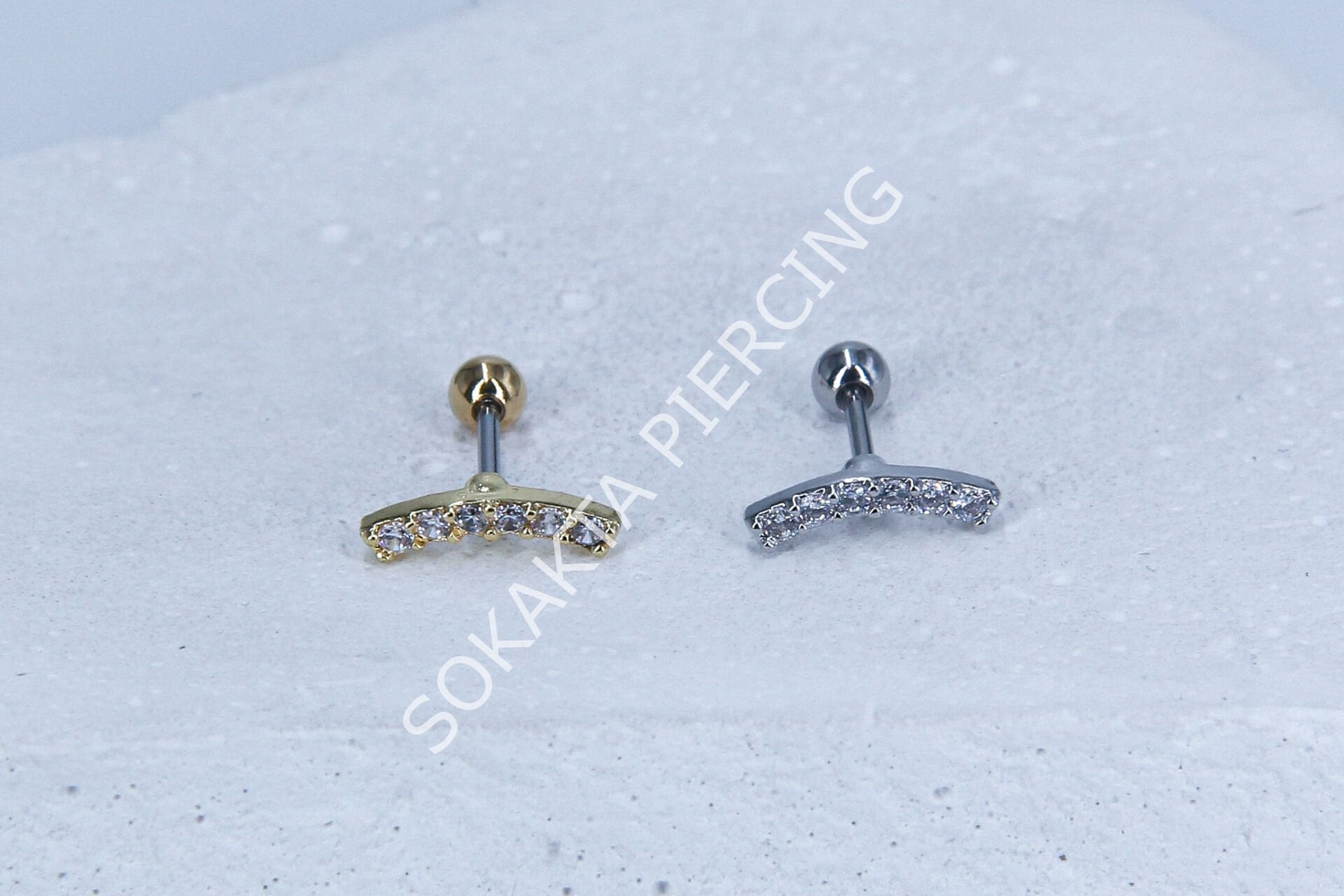 B21 - TRAGUS