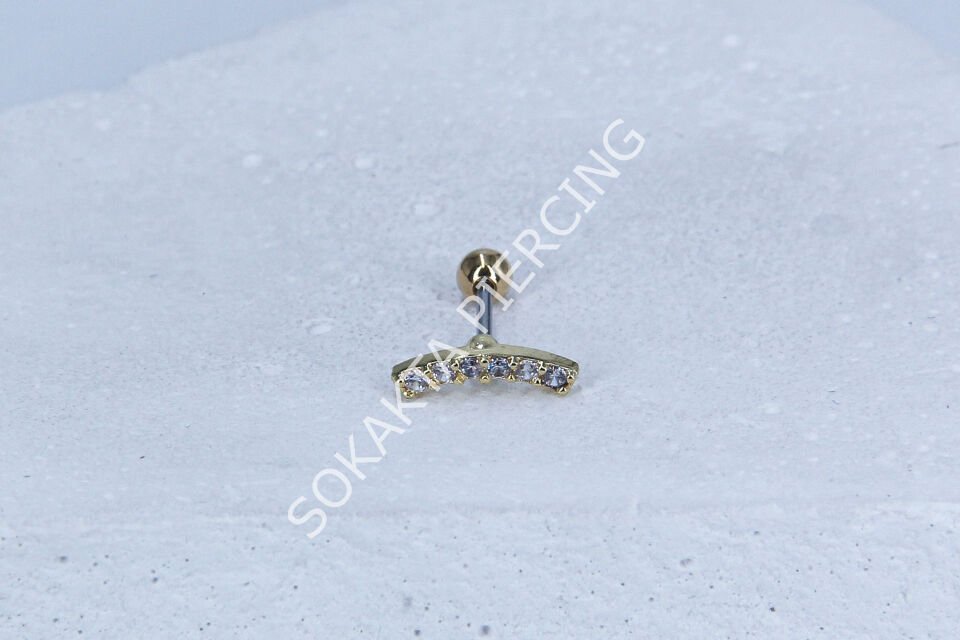 B21 - TRAGUS Silver