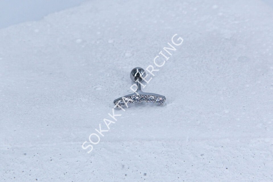 B21 - TRAGUS