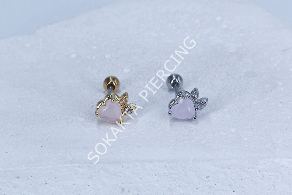 B48 - TRAGUS