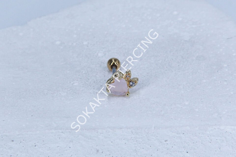 B48 - TRAGUS