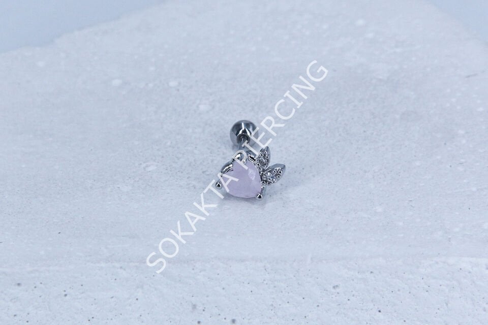 B48 - TRAGUS