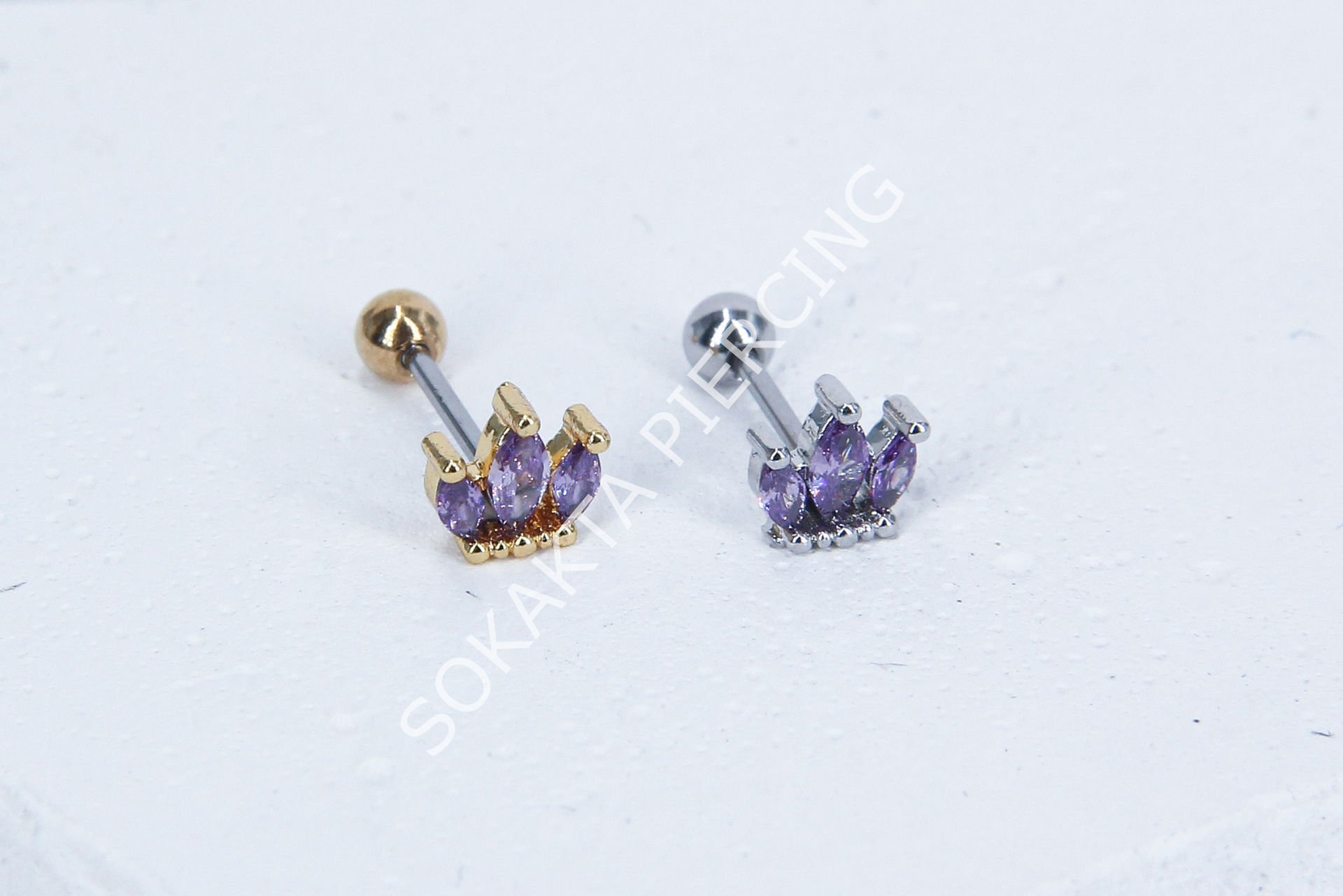 B31- TRAGUS