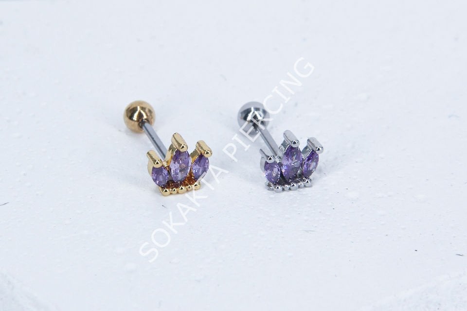 B31- TRAGUS