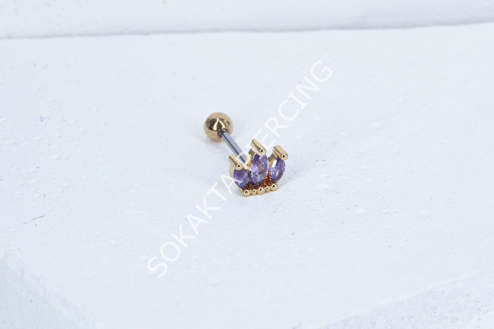 B31- TRAGUS