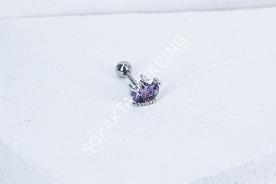 B31- TRAGUS