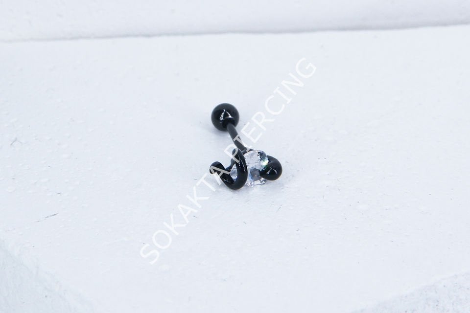 B18- TRAGUS