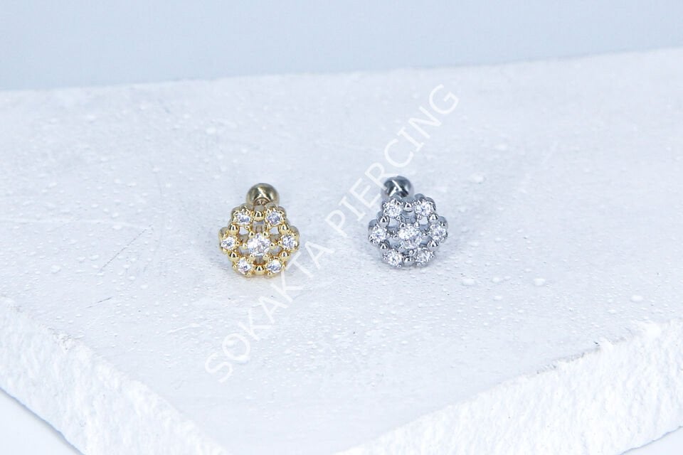 C39- TRAGUS Silver