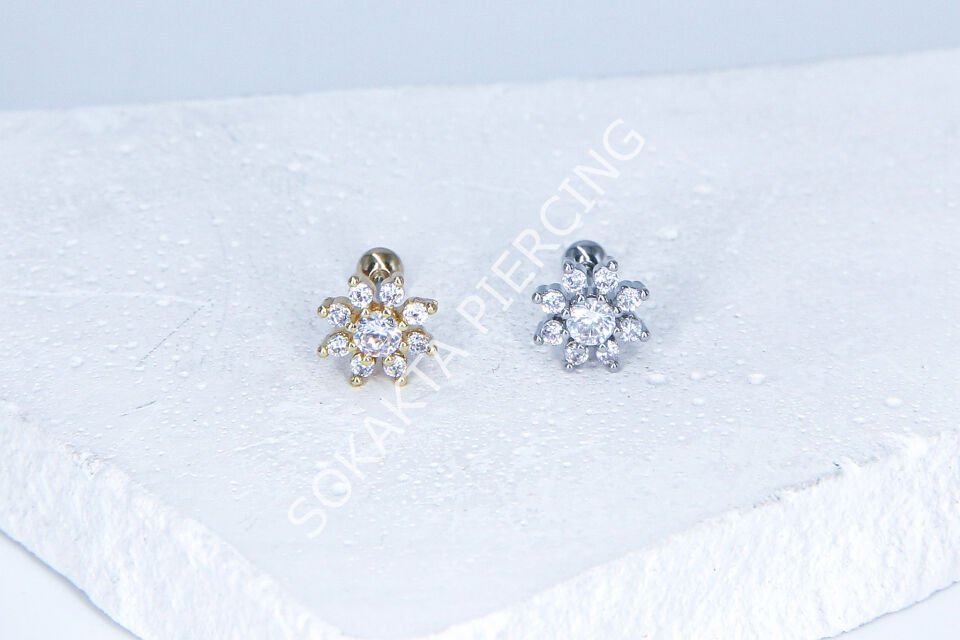 C43- TRAGUS Silver
