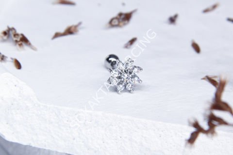 Z105 - TRAGUS