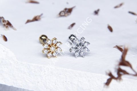 Z105 - TRAGUS