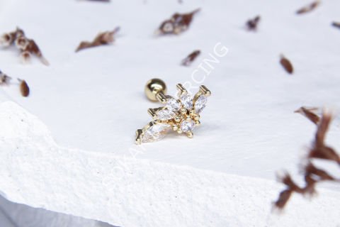 A9 - TRAGUS Gold