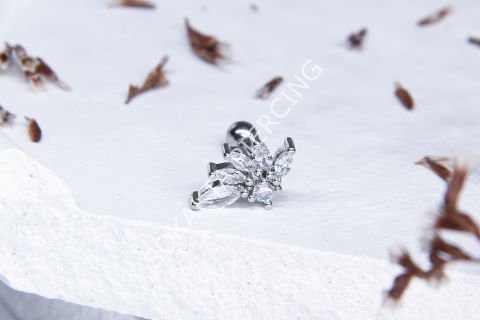 A9 - TRAGUS Gold