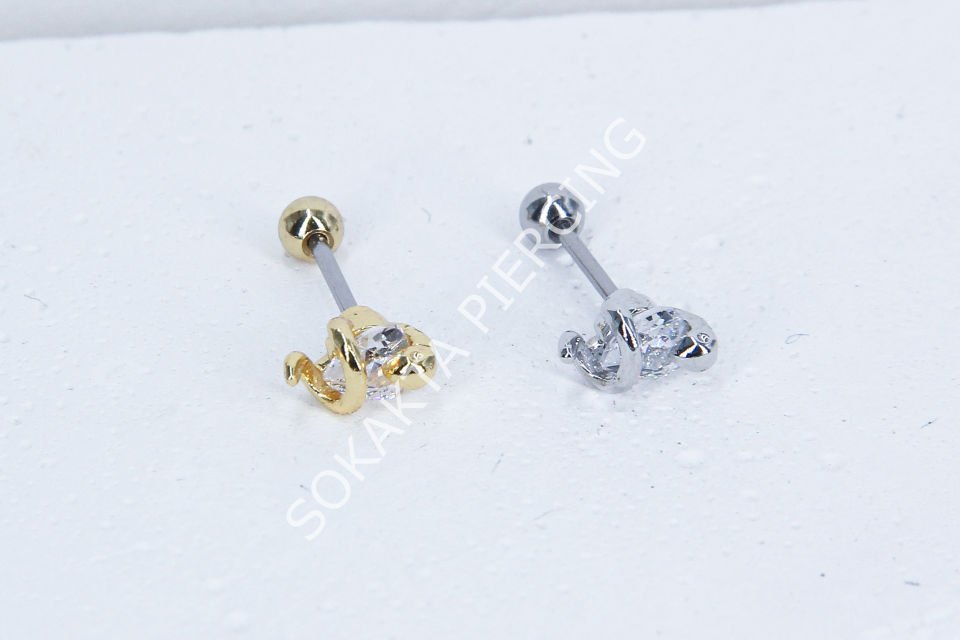 C4- TRAGUS Silver