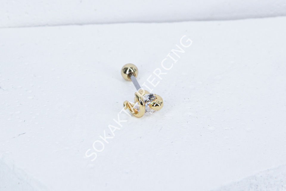 C4- TRAGUS Silver