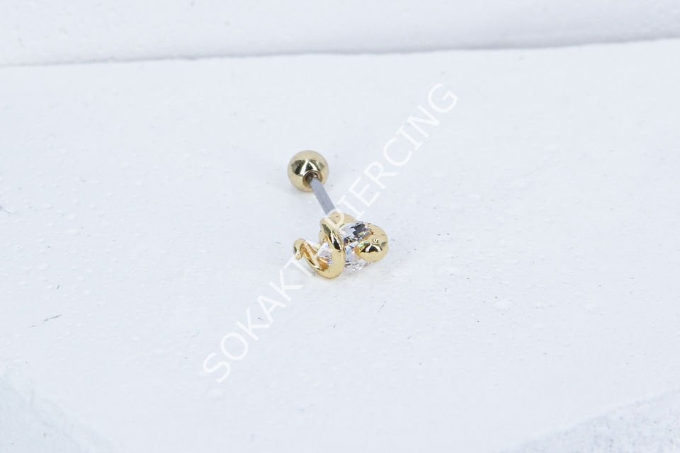 C4- TRAGUS