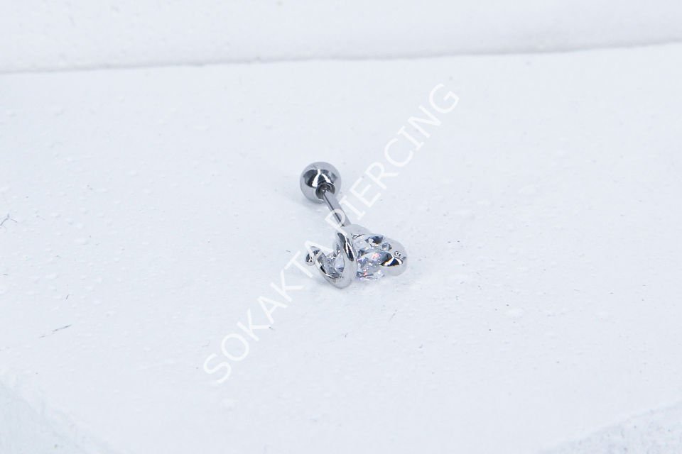 C4- TRAGUS Silver