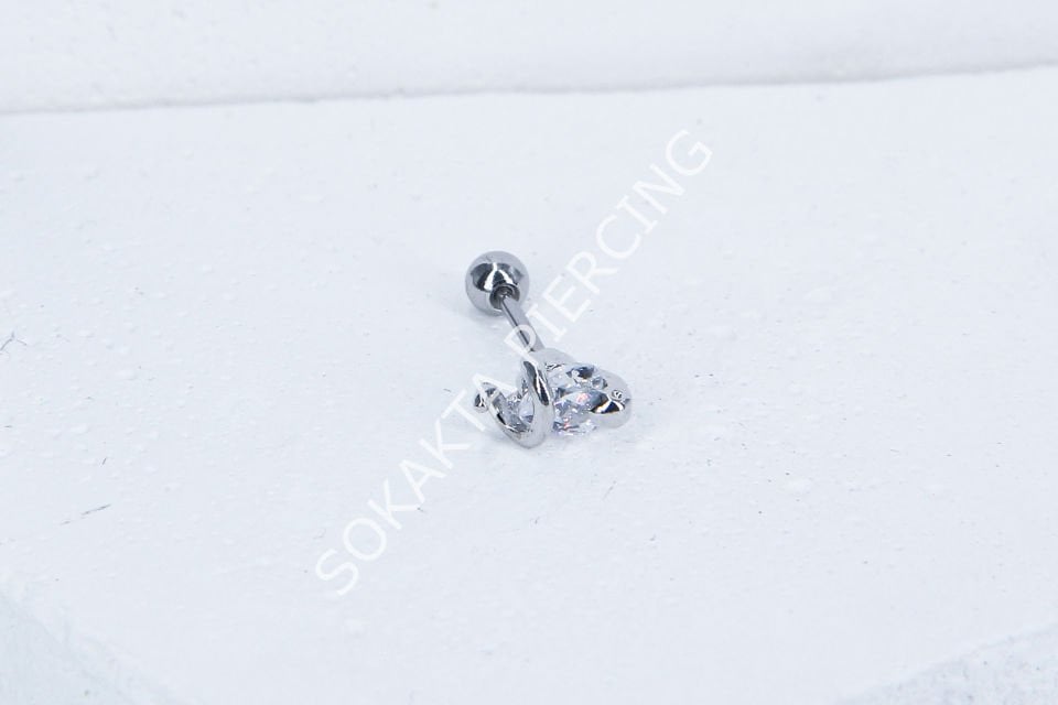 C4- TRAGUS