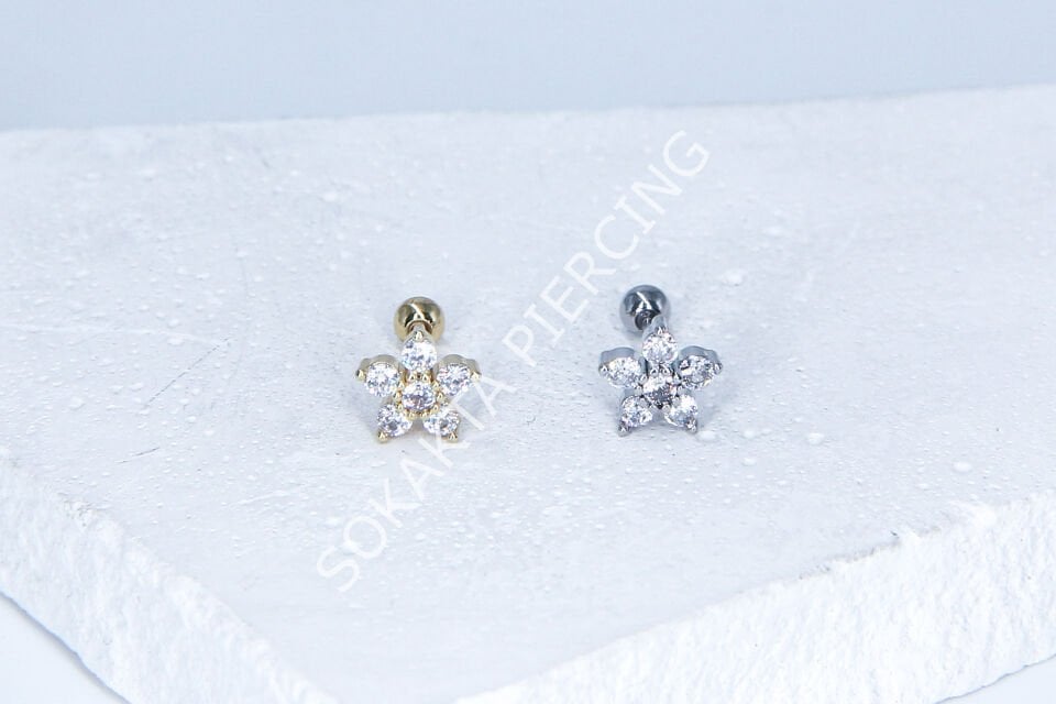 C45- TRAGUS Gold