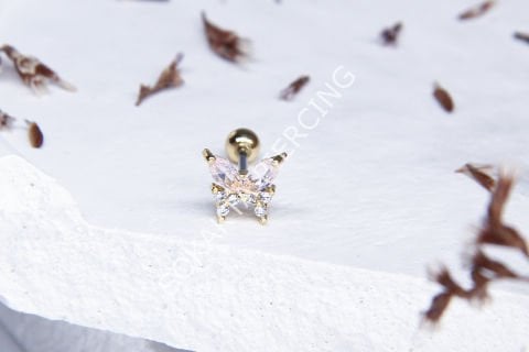 A63 - TRAGUS Silver