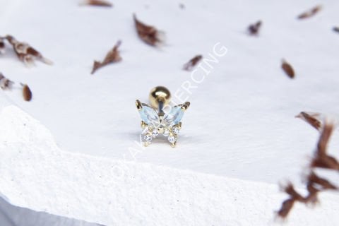 A12 - TRAGUS