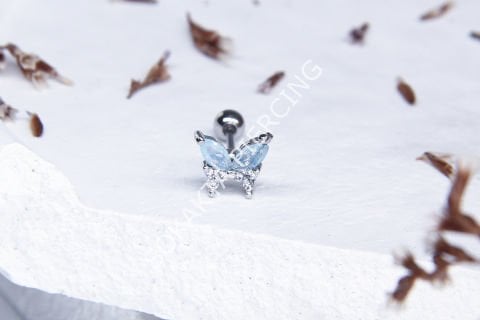 A12 - TRAGUS