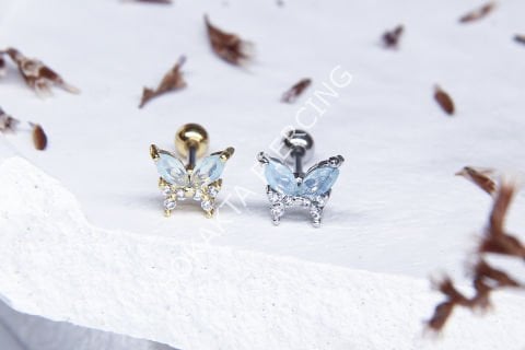 A12 - TRAGUS