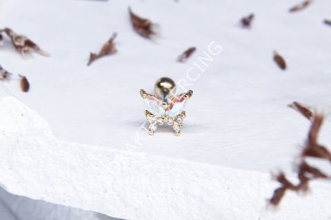 A15 - TRAGUS