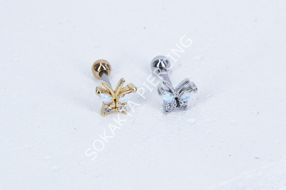 Z10- TRAGUS