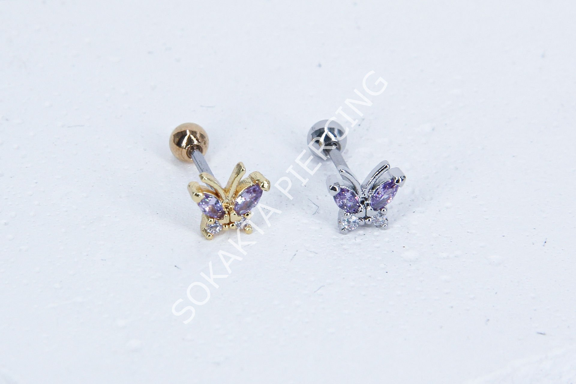 B11- TRAGUS
