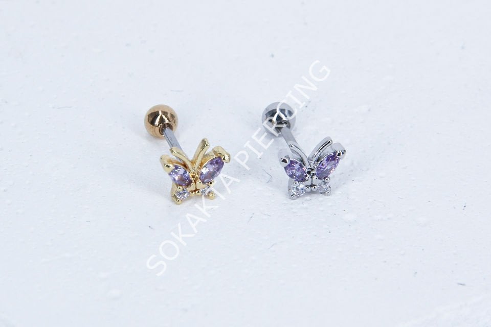 B11- TRAGUS