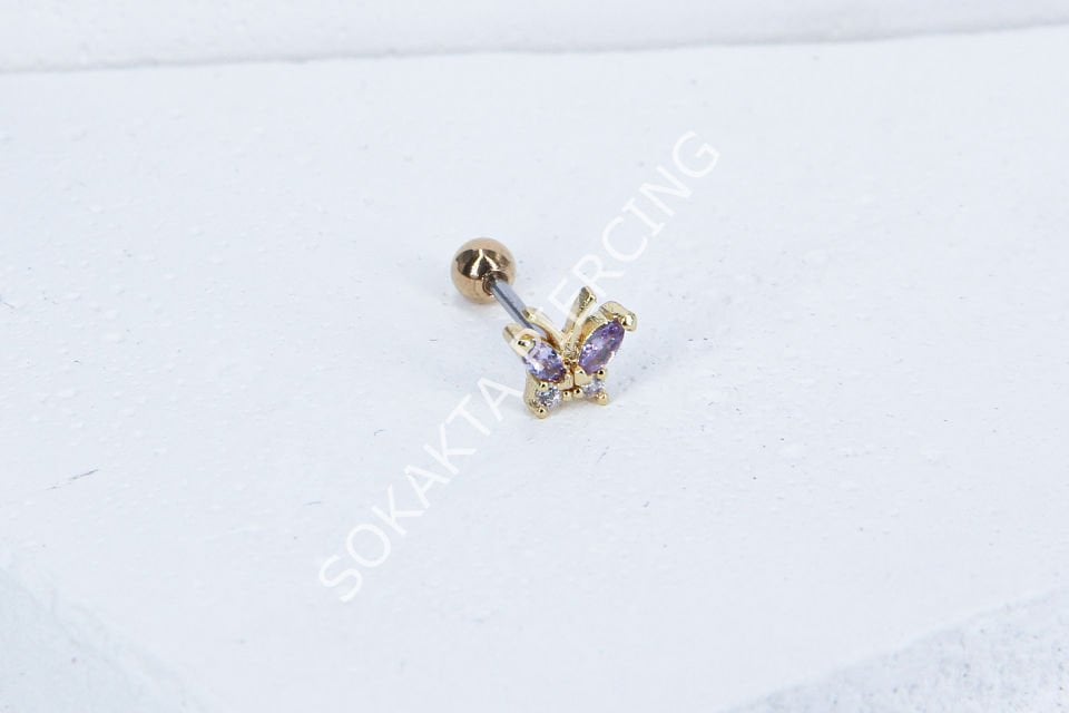 B11- TRAGUS