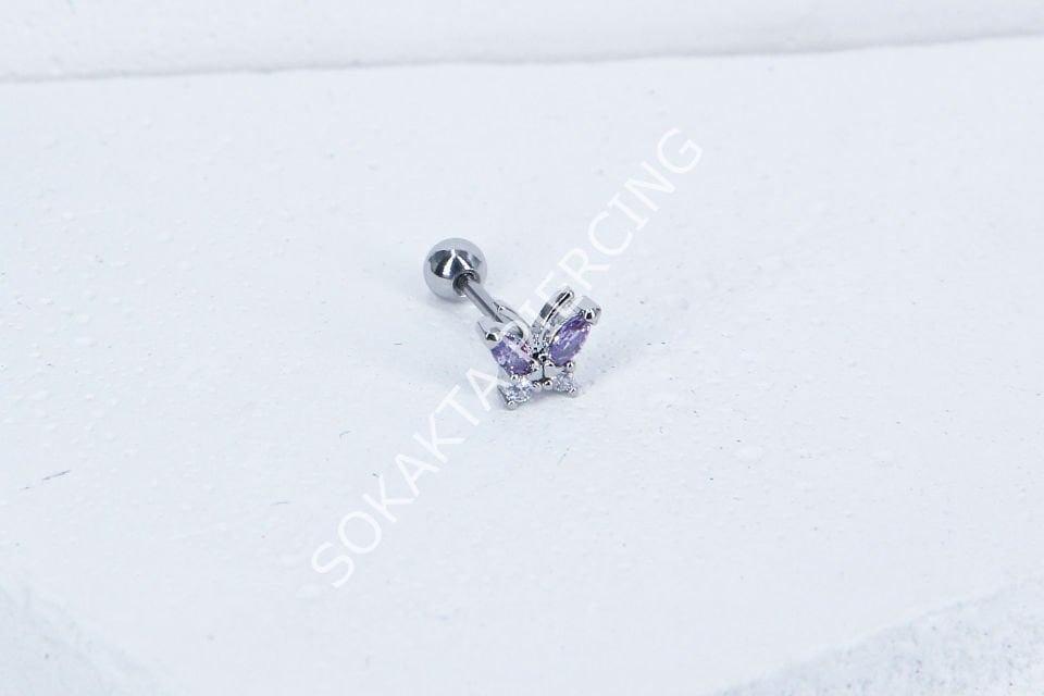 B11- TRAGUS