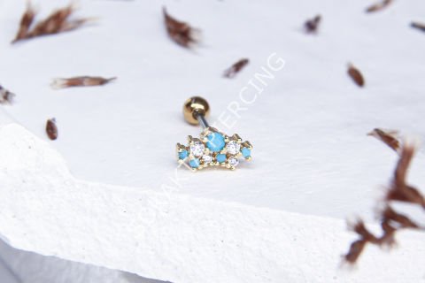 Tragus 340