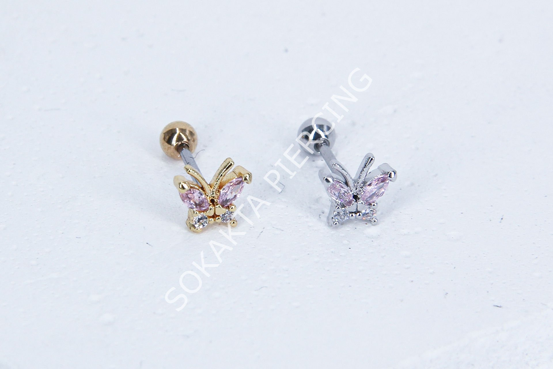 B12- TRAGUS