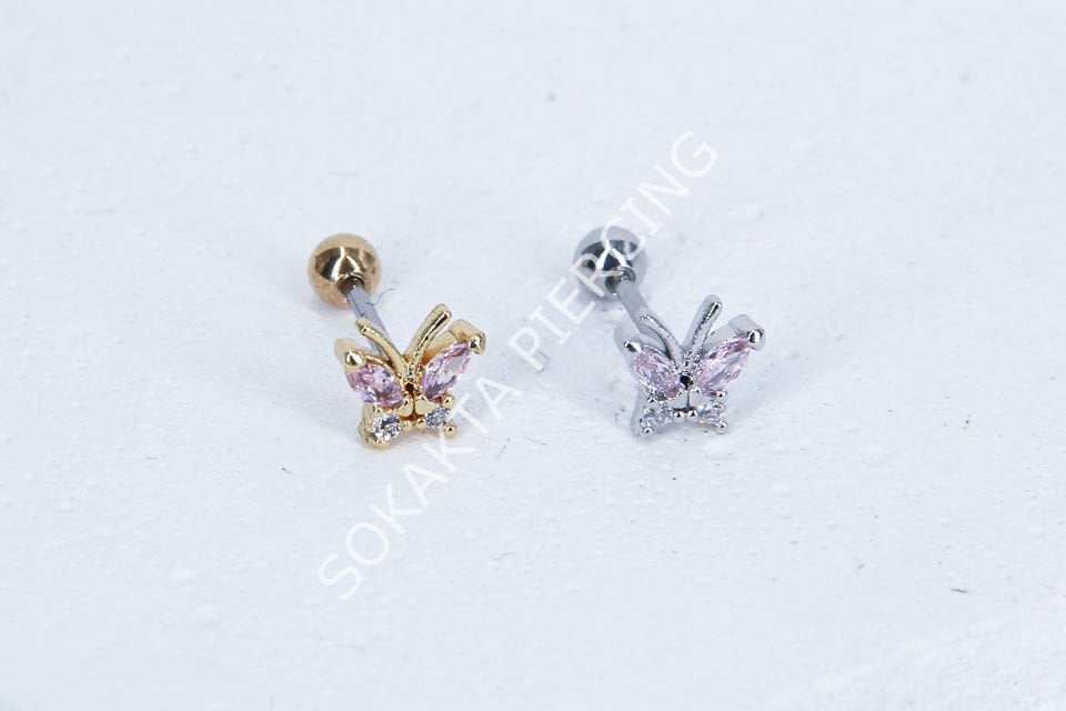 B12- TRAGUS