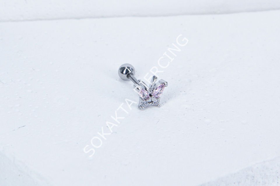 B12- TRAGUS
